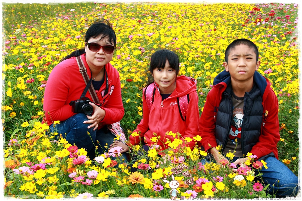 蘆竹花彩節.迷失的小熊by小雪兒1031115IMG_5362.JPG