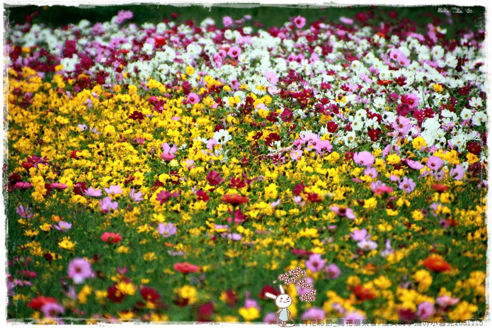 蘆竹花彩節.迷失的小熊by小雪兒1031115IMG_5391.JPG