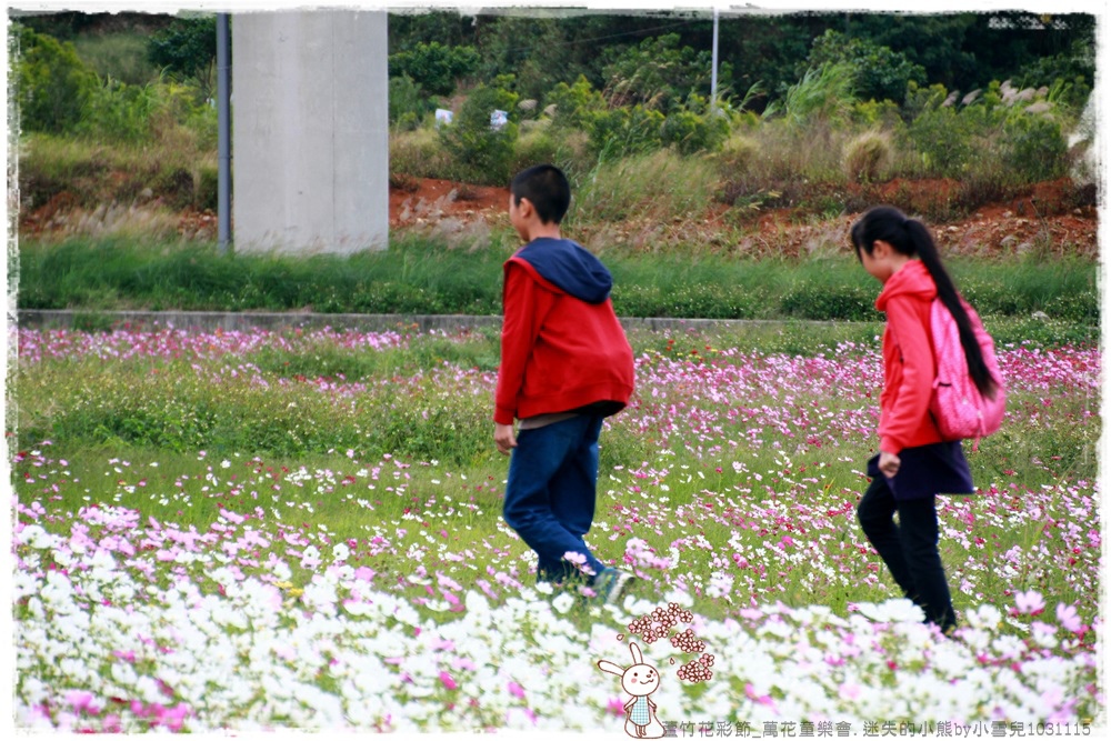 蘆竹花彩節.迷失的小熊by小雪兒1031115IMG_5395.JPG