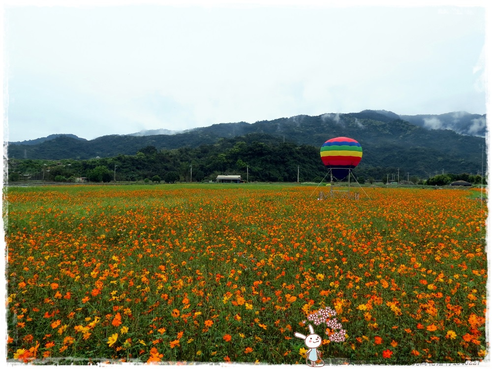 宜蘭二天旅遊三星搖搖洛克馬花海竹1040227IMG_6575.JPG