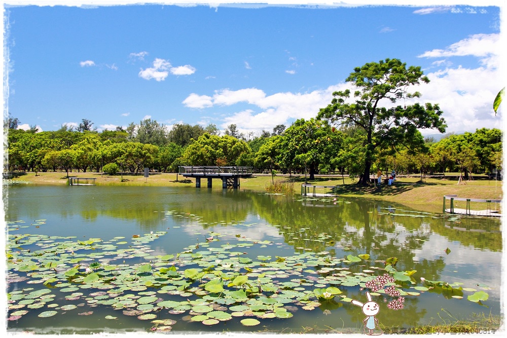 台東森林公園by小雪兒1040814IMG_2488.JPG