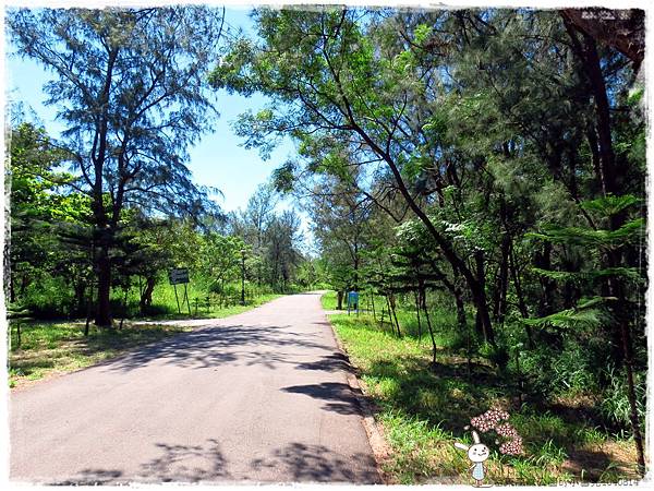 台東森林公園by小雪兒1040814IMG_3013.JPG