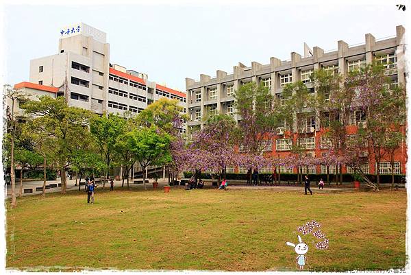 中華大學紫藤花1040322by小雪兒IMG_8361.JPG