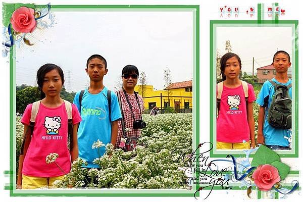 韭菜花田1040920by小雪兒01 001.jpg