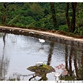 金山八煙聚落 by小雪兒的窩1041018IMG_3973 044.JPG