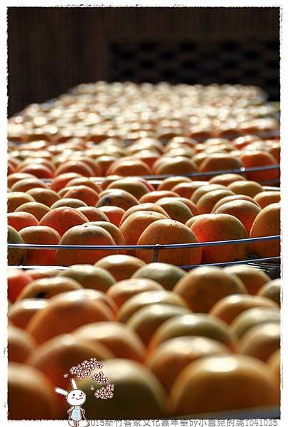 2015新竹客家文化嘉年華by小雪兒的窩1041025IMG_4674 084.JPG