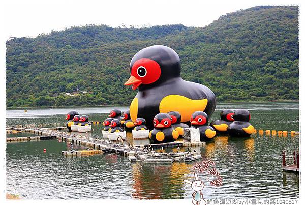 鯉魚潭遊湖by小雪兒的窩1040817IMG_0685 025.JPG