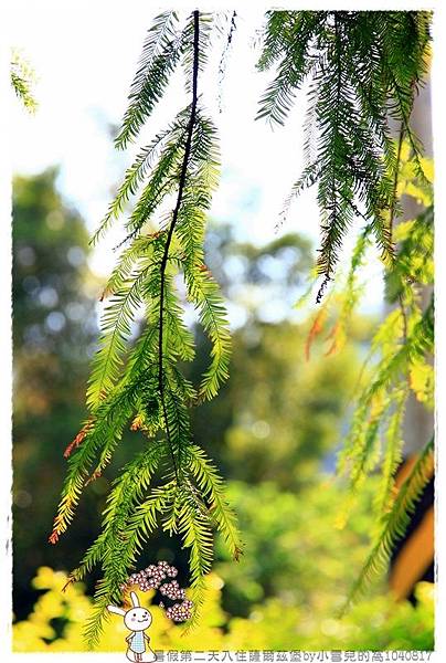 暑假第二天入住薩爾茲堡by小雪兒的窩1040817IMG_1018 077.JPG