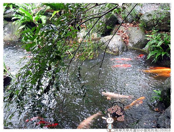 東華大學月蘆by小雪兒的窩1050818IMG_9497 117.JPG