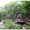 龍潭客家園區虎頭山1050522IMG_3080.JPG