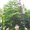 15.臺東鐵道藝術村_臺東站.JPG