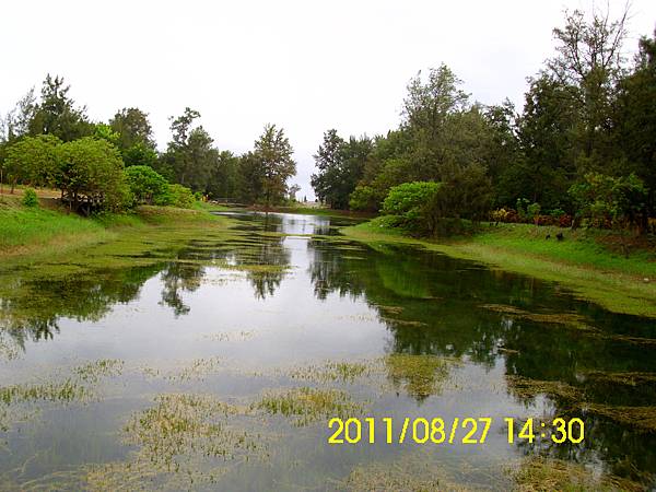 24.臺東森林公園_琵琶湖.JPG