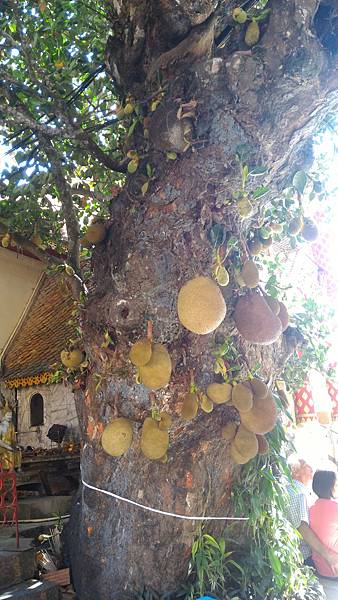 P_20160120_110455.jpg P_20160120_110455.jpg