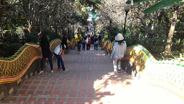 P_20160120_110255.jpg P_20160120_110255.jpg