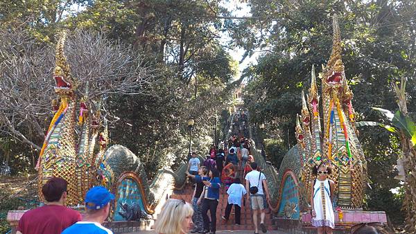 P_20160120_105858.jpg P_20160120_105858.jpg