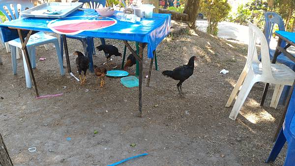 P_20160120_115215.jpg P_20160120_115215.jpg