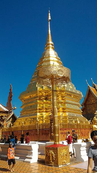 P_20160120_111002.jpg P_20160120_111002.jpg