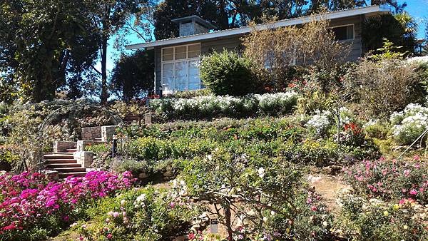 P_20160120_124341.jpg P_20160120_124341.jpg