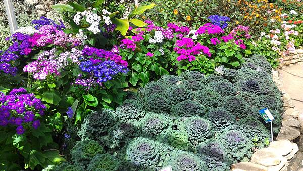 P_20160120_124919.jpg P_20160120_124919.jpg