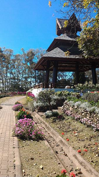 P_20160120_131246.jpg P_20160120_131246.jpg