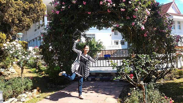 P_20160120_132222.jpg P_20160120_132222.jpg