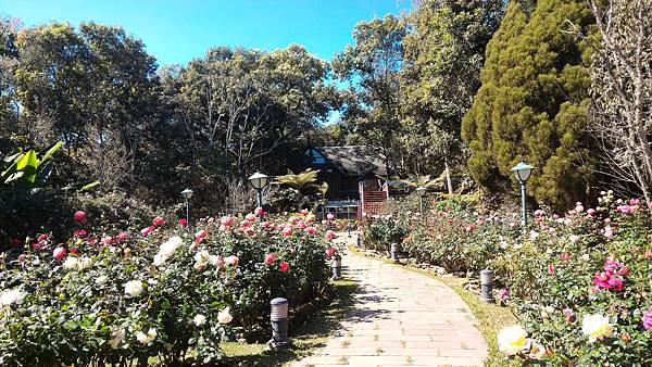 P_20160120_132234.jpg P_20160120_132234.jpg