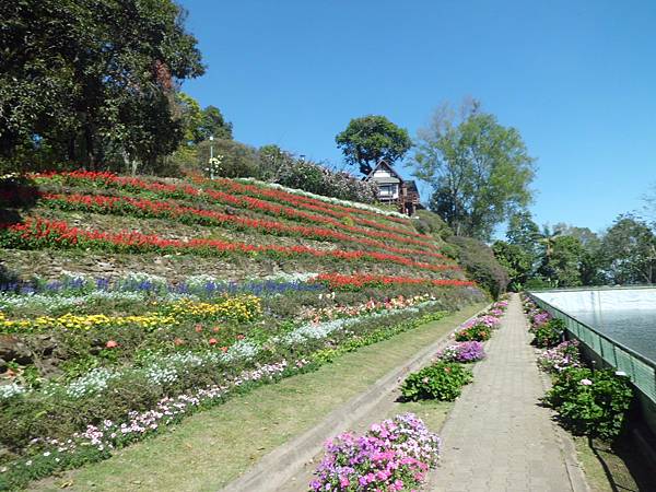 泰國皇室計畫 (24).JPG 泰國皇室計畫 (24).JPG