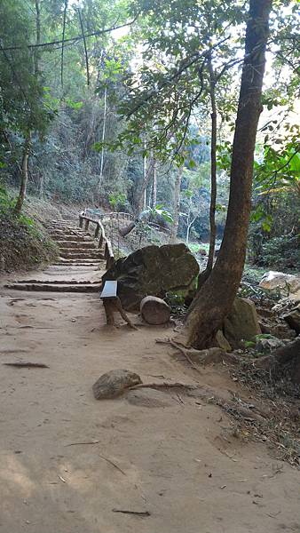 P_20160120_152502.jpg P_20160120_152502.jpg