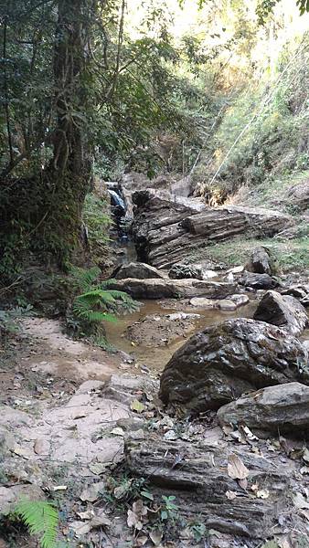 P_20160120_152649.jpg P_20160120_152649.jpg