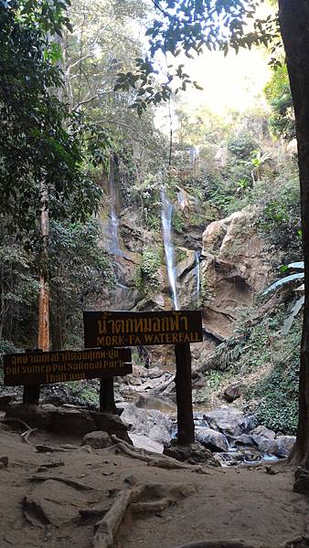 P_20160120_152932.jpg P_20160120_152932.jpg