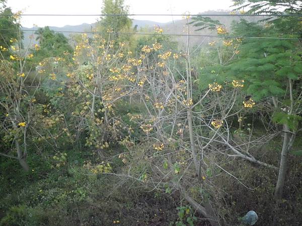 Pai縣 WWII紀念橋 (129).JPG Pai縣 WWII紀念橋 (129).JPG