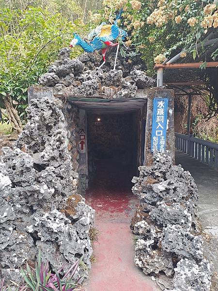 ღ『高雄旗山。寵物親子景點』三桃山森林休閒園 （超過80年的