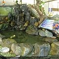 照片20110619南庄賞魚步道 068.jpg