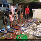 照片20110619南庄賞魚步道 069.jpg