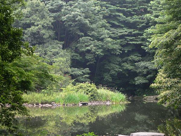 類似台大的醉月湖…也是有一段淒美故事的