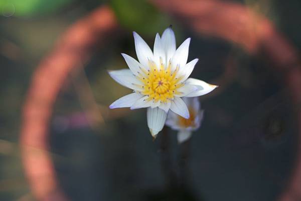 IMG_4193 IMG_4193