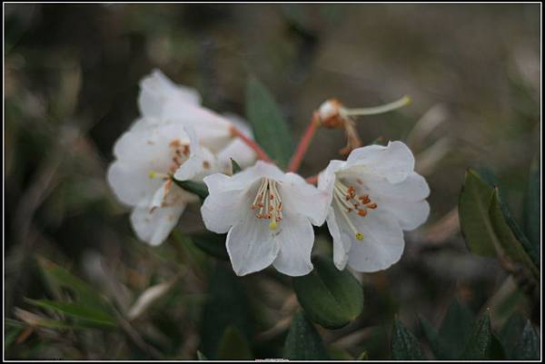 IMG_4301 IMG_4301