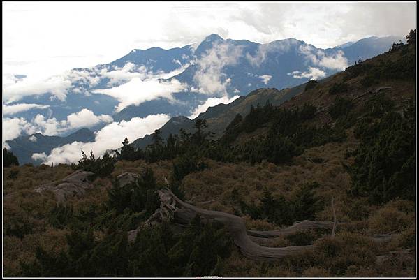 IMG_4324 IMG_4324