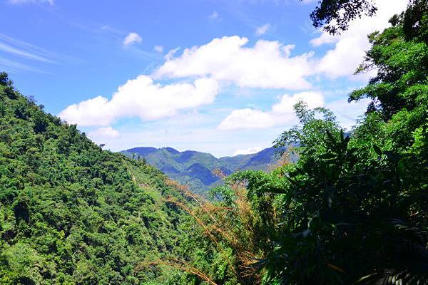 竹坑溪步道 (6).JPG