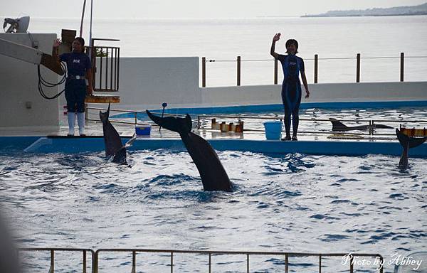 海洋博水族館 (18).JPG