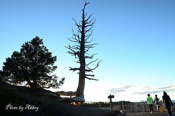 Bryce canyon (2).JPG