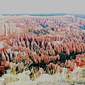 Bryce canyon (11).JPG