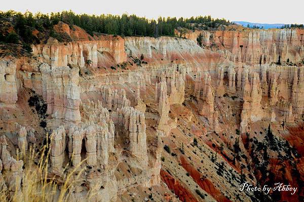 Bryce canyon (14).JPG