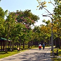 大安森林公園 (12).JPG