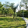 大安森林公園 (18).JPG