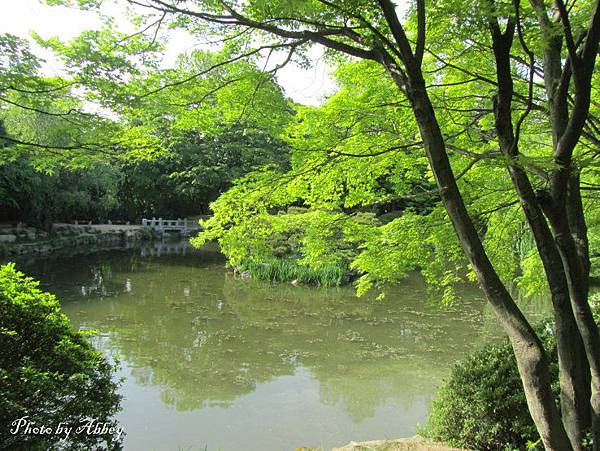 佛國寺 (2).JPG 佛國寺 (2).JPG