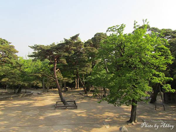 佛國寺 (14).JPG 佛國寺 (14).JPG