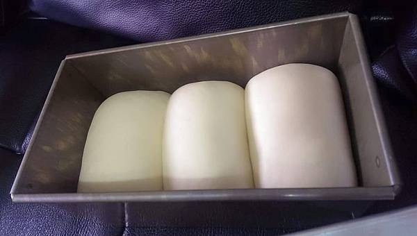 11228139_10203188327388924_8972090947865267830_o