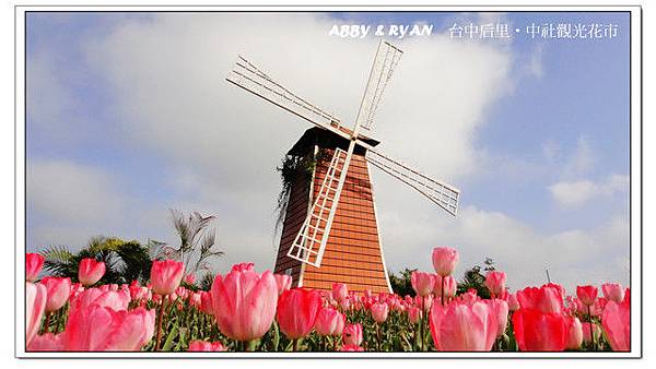 1641728335 1641728335