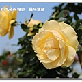 newIMG_4061.jpg
